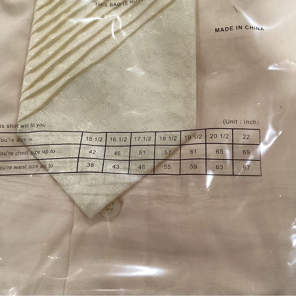 Avanti Uomo Ivory Men's Dress Shirt with Tie - Picture 8 of 11